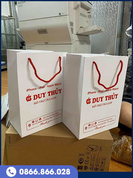 Túi giấy